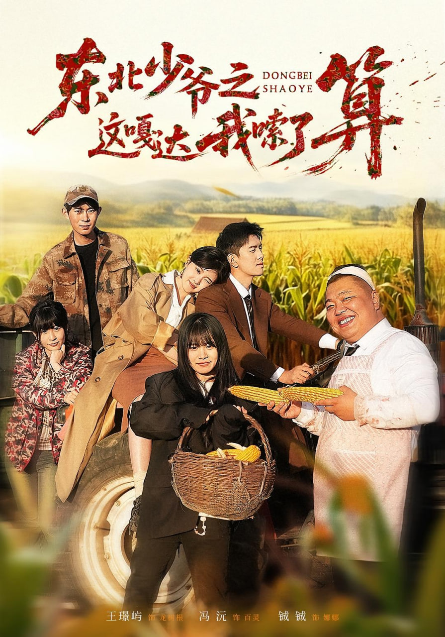 小镇合伙人